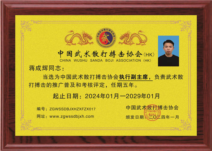 蔣成輝：執(zhí)行副主席